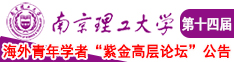 操屄视频在线观看南京理工大学第十四届海外青年学者紫金论坛诚邀海内外英才！